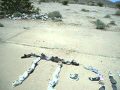 MathBabbler: Pi Day 2010 at the Cement Slab in the Colorado Desert MathBabbler: Pi Day 2010 at the Cement Slab in the Colorado Desert