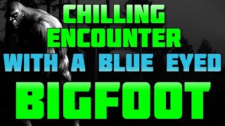 CHILLING ENCOUNTER WITH A BLUE EYED BIGFOOT