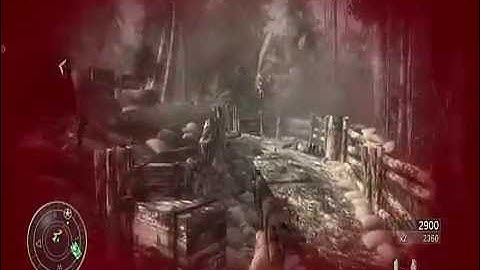 World At War Veteran Campaign in a nutshell