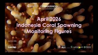 Daytime spawning  in the Gulf of Thailand - Webinar