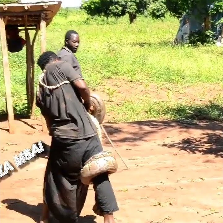 Snake wants to kill him. (Ataka kumezwa na nyoka)