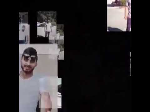 حسني شتيوي ورده البلد