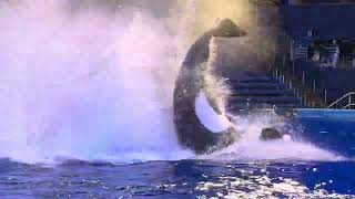 Download Lagu Kyuquot and Tuar’s center TNT! MP3