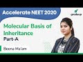 NEET 2020 | Class 30 | Botany | Molecular Basis of Inheritance