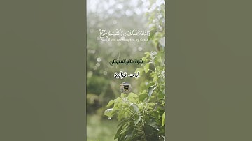 #قران_كريم #راحة_نفسية #الشيخ_ماهر_المعيقلي #لايك #المصحف #اكسبلور #تلاوة_خاشعة