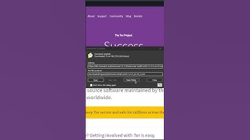 How to Access the Dark Web. #tor #torbrowser #darkweb #hacking