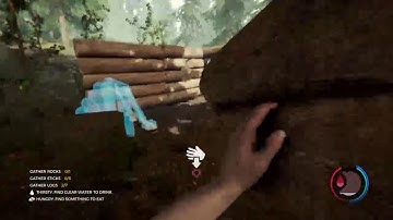 Crash Landing In The Forest |  The Forest -Uncut- Part 1