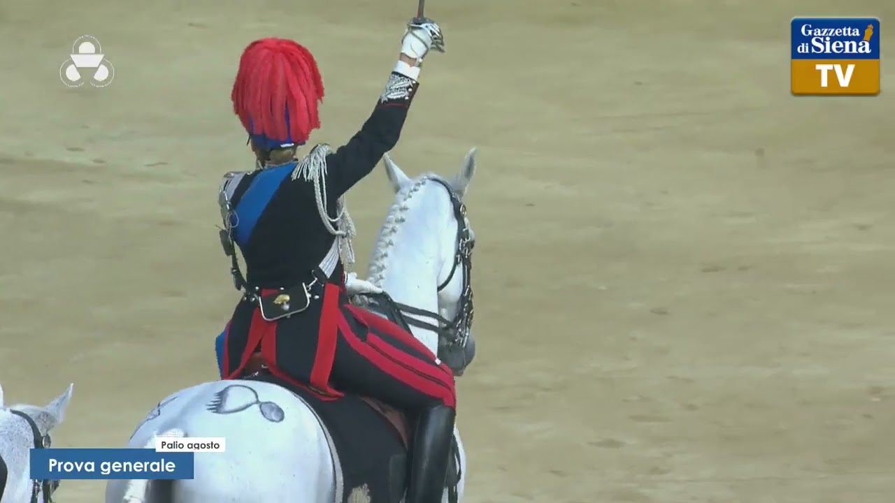 𝑺𝑶𝑮𝑵𝑶 𝑷𝑨𝑳𝑰𝑶 🔵 Esibizione Carabinieri a Cavallo