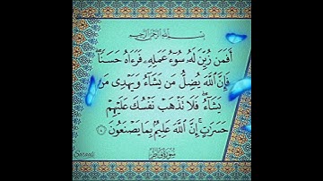 سورة فاطر الآية ( 8 )