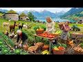 Full Video: Beautiful Countryside Farm - Harvesting Fruit and Caring for Livestock.