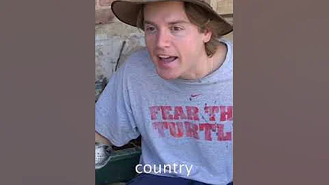 #dog City Pets vs Country pets #dogs #cats #comedy