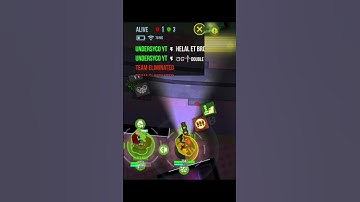 Two Birds with One Rocket! 🚀 (BULLET ECHO)