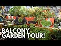 City garden balcony tour july 2020  balconia garden