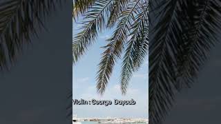 Cover(rahma riad-waed menni) Violin(george dayoub) رحمة رياض (وعد مني)