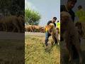 Allah Tala ke madad 😭 #ytshorts​ #news​ #prayer​ #today​ #trending​ #emotional​ #shorts