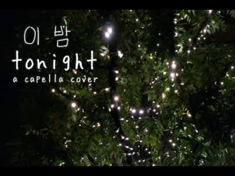 이 밤 (tonight) by BTS JIN; an a capella cover