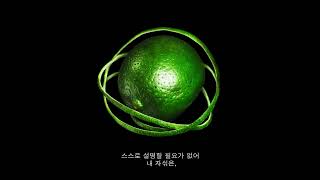 big thief happy with you korean lyric video