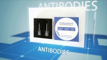 Elabscience: 6 Series of Products for Biology Research