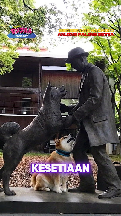 Berkunjung ke Patung Anjing Paling Setia Yaitu Hachiko #shorts #traveljapan #travel #japan #jepang