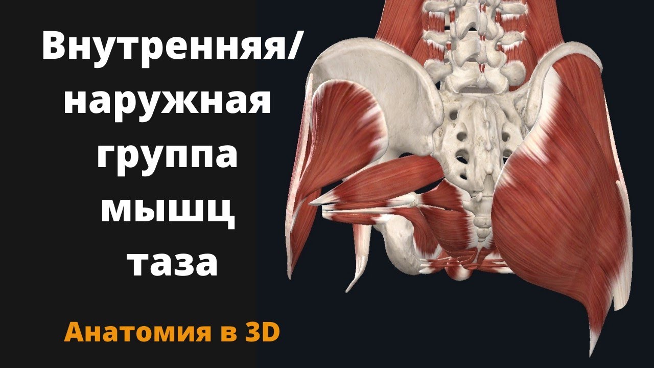 CJC1295 �����: ����.