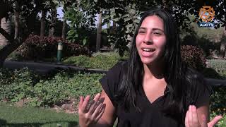 Download Lagu The Quiet Amidst the Buzz MP3