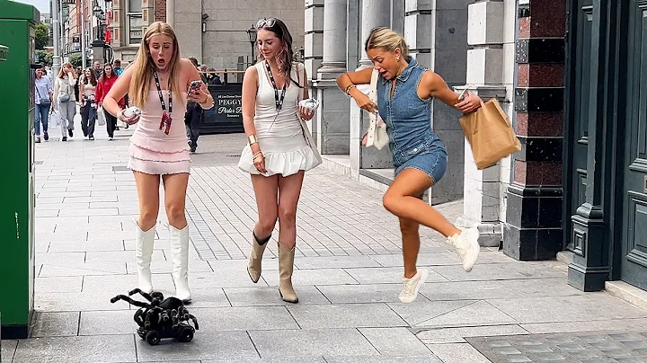 Spider Prank  the funniest scares