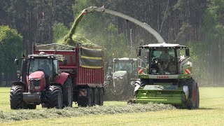 CLAAS JAGUAR 940 am Gras häckseln / Abfahrer FENDT 724, MASSEY FERGUSON 7726 & FENDT 930 / SOUND 4K