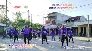 SENAM KREASI | DJ UNA TERMEONG MEONG |Choreo Echa78 #healthylifestyle #senamkreasi #behappy #enjoy