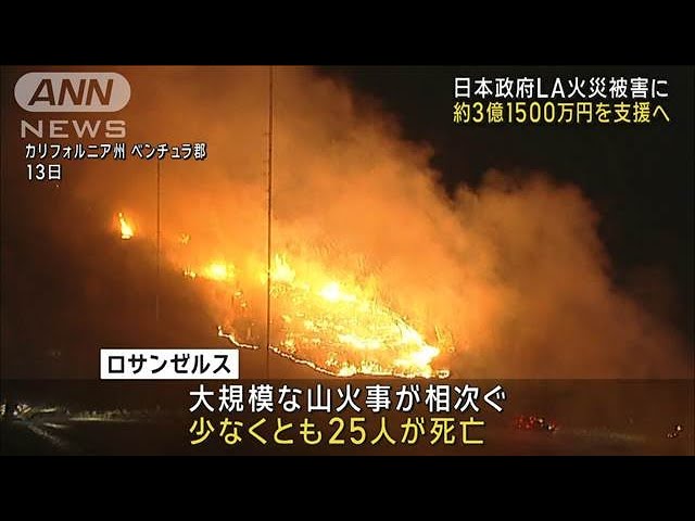 日本政府 LA大規模火災被害に約3億1500万円支援へ(2025年1月15日