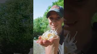 foraging honeysuckles at the truckstop for honeysuckle lemonade #trucker #trucking