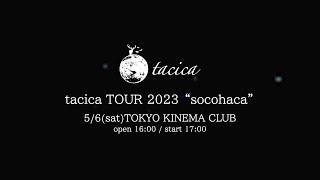 tacica 『BROWN』 (Live Video)