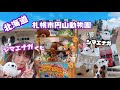 【ぬいぐるみくじの旅】★北海道★札幌市円山動物園　シマエナガくじ