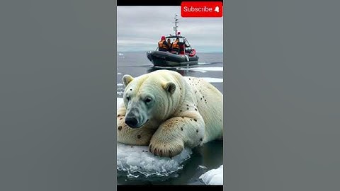 AI-Generated Content at Its Best | Cutting-Edge Entertainment Technology #Shorts #Viral