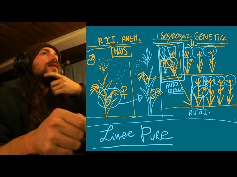 Video: Scopri cosa sono i semi ibridi e i semi non ibridi