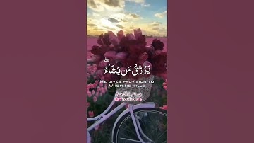 حالات واتس اب قران ♥️🖇️ حالات واتس قرأن  تلاوة خاشعة || Quran Status🖇️💙 اية قرانية قصيره🎧❤️