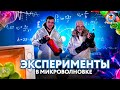 Как взорвать микроволновку? «Фоксфорд.Эксперимент»