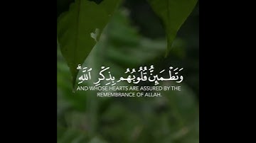 الذين آمنوا وتطمئن قلوبهم بذكر الله ألا بذكر الله تطمئن القلوب | سورة الرعد | القارئ اسلام صبحي