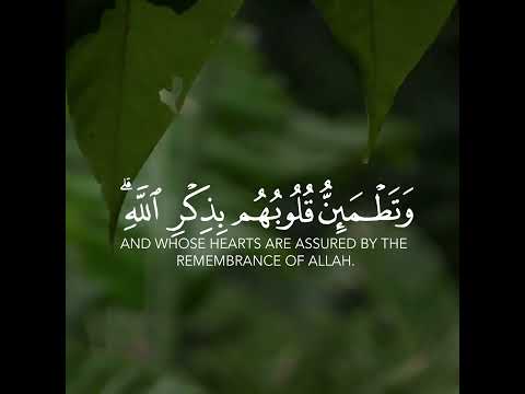 الذين آمنوا وتطمئن قلوبهم بذكر الله ألا بذكر الله تطمئن القلوب سورة الرعد القارئ اسلام صبحي