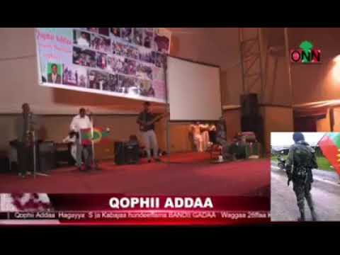 Michuu Baayyeen Qaba Lixa Biiftuu Irraati