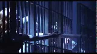 Cell Block Tango - Chicago Resimi