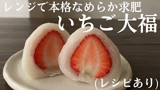 【29】How to make　Strawberry dumplings