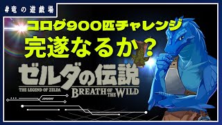 #19【ゼルダの伝説・breath of wild】コログ900匹チャレンジ完遂なるか！探せ、零れ落ちた一匹編【竜の遊技場】