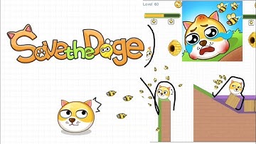 Save The Doge Answers | All Levels | Level 101-110