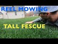 Reel mowing TALL GRASS
