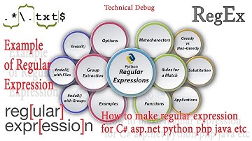 #010 Example of regular expression - How to make regular expression for C# asp.net python java etc
