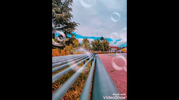 اجمل حلم تامر عاشور 