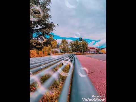 اجمل حلم تامر عاشور