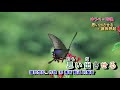あの人の足音 字義版
