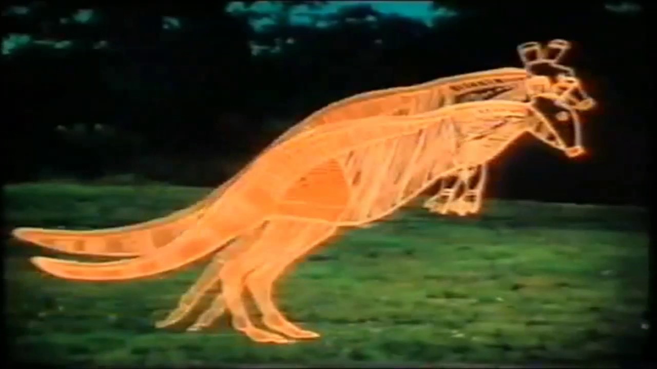 The Bunyip song 