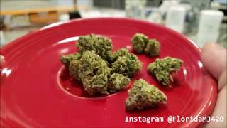 Mystery Member Berry Cannabis Flower with NO LABEL - Florida Medical Marijuana Strain Review